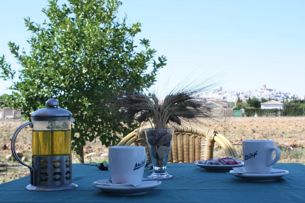 Hostal Rural La Plata Parking Incluido Аркос де ла Фронтера Экстерьер фото
